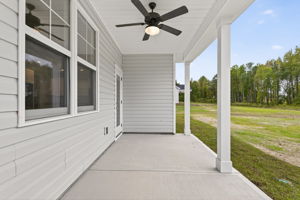  Photo 48
