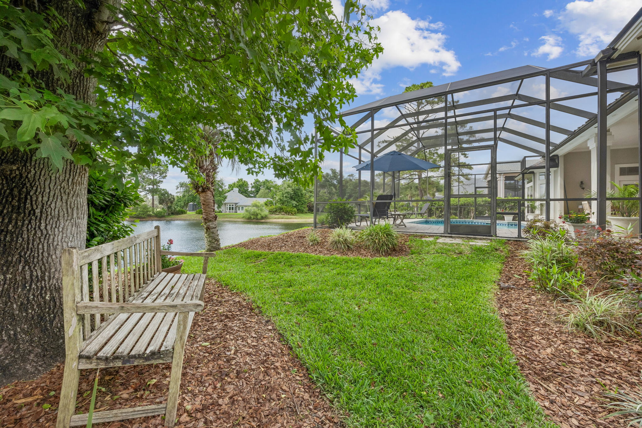 Backyard