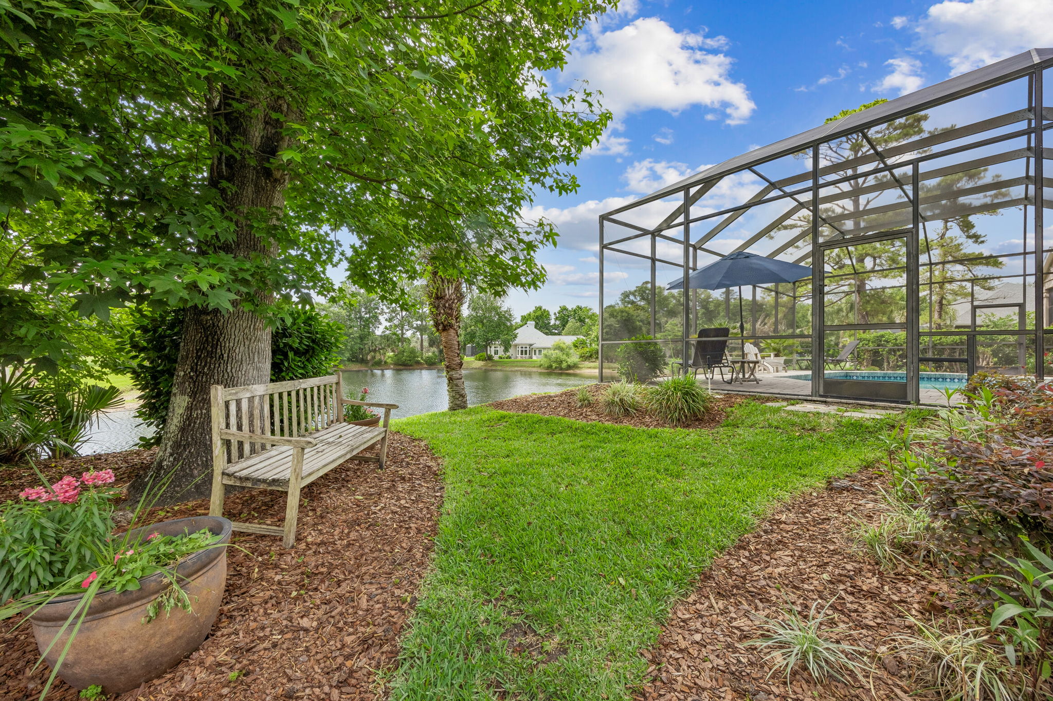 Backyard