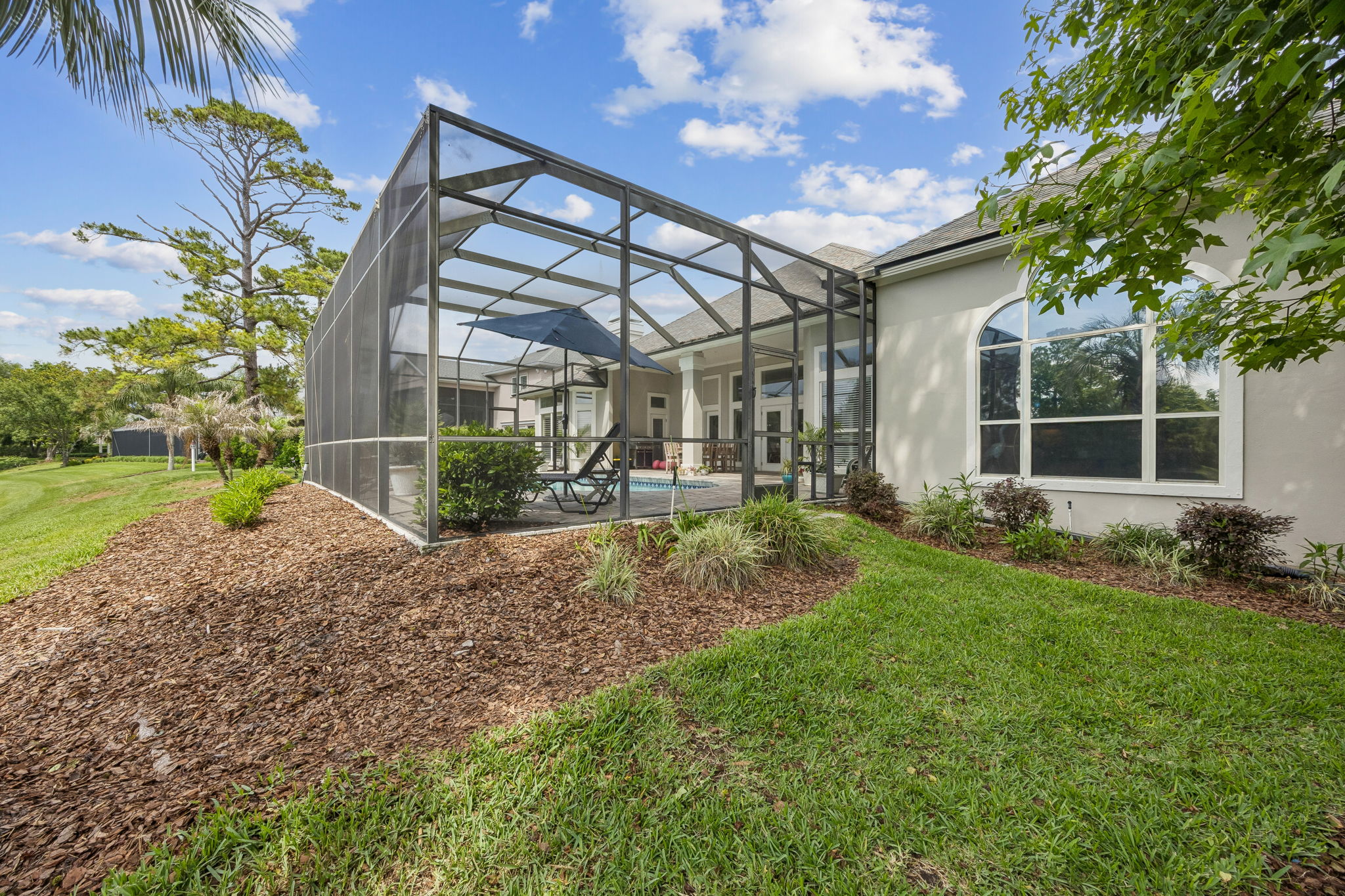 Backyard