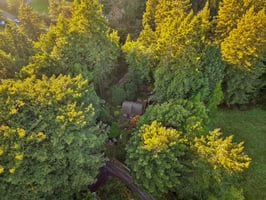 Wagnon Rd-S1512-038.jpg