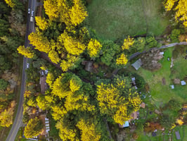 Wagnon Rd-S1512-045.jpg