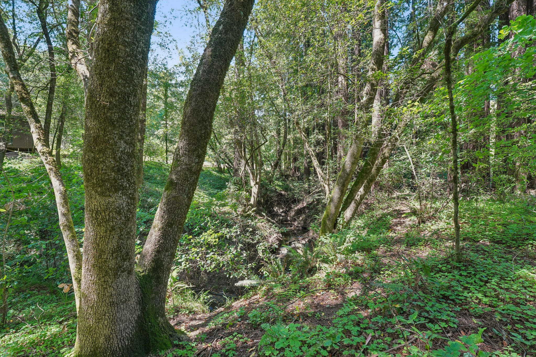 Wagnon Rd-S1905-074.jpg