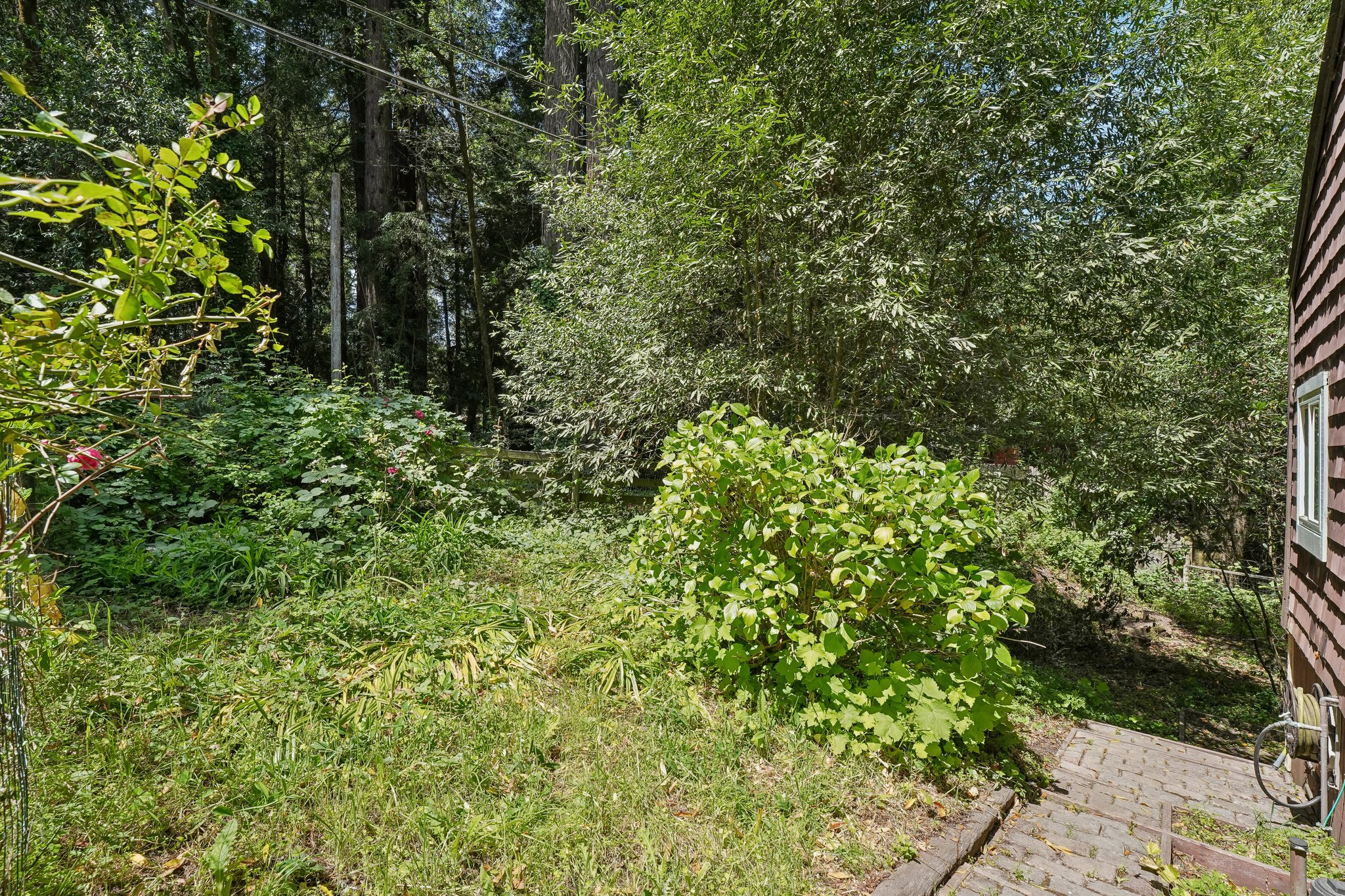 Wagnon Rd-S2805-011.jpg