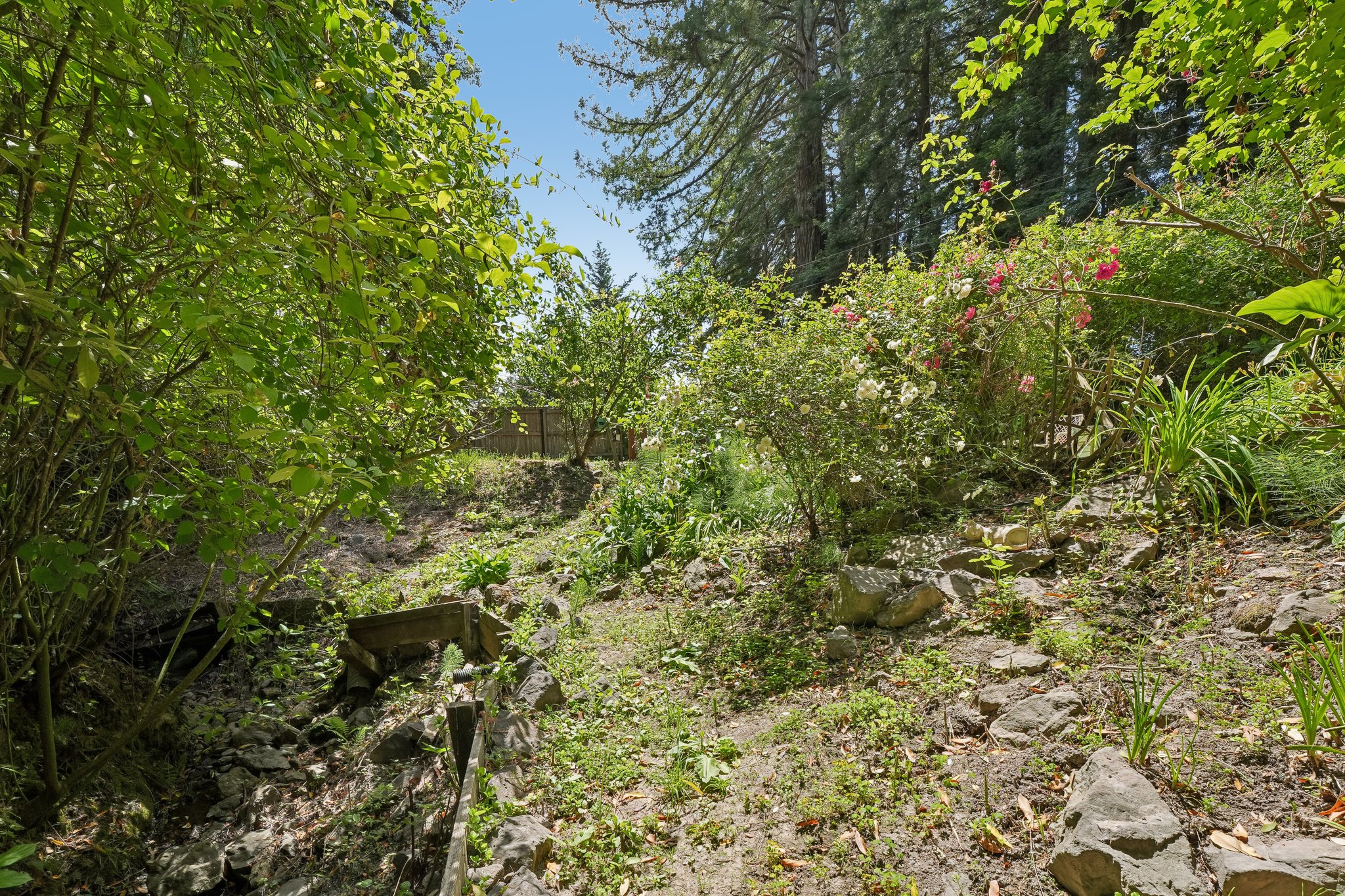 Wagnon Rd-S2805-037.jpg