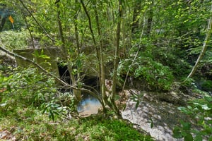 Wagnon Rd-S1905-068.jpg