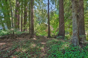 Wagnon Rd-S1905-073.jpg
