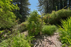 Wagnon Rd-S2805-008.jpg