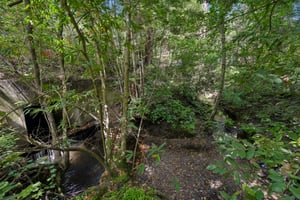 Wagnon Rd-S2805-028.jpg
