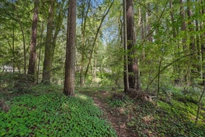 Wagnon Rd-S2805-032.jpg