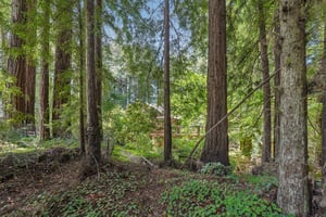 Wagnon Rd-S2805-033.jpg