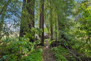 Wagnon Rd-S2805-034.jpg