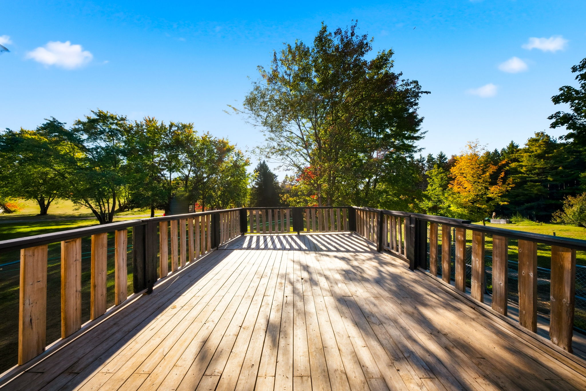  Photo 87