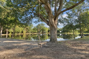  Photo 37