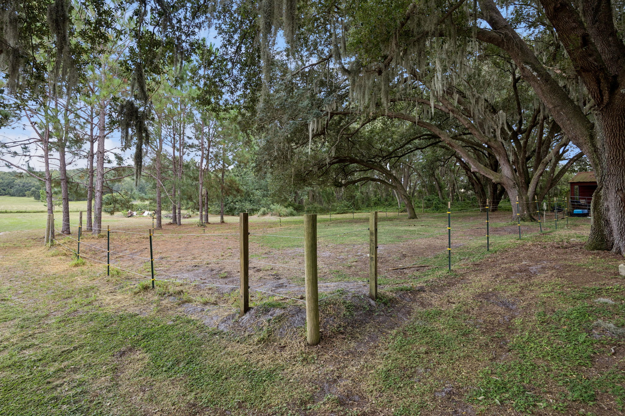  Photo 43