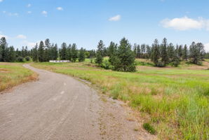  Photo 44