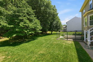 Flat Rear Yard