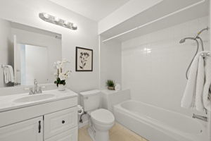 Lower Level - Bathroom