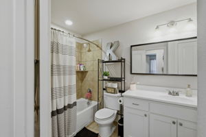 Hall Bathroom