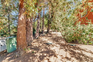  Photo 49