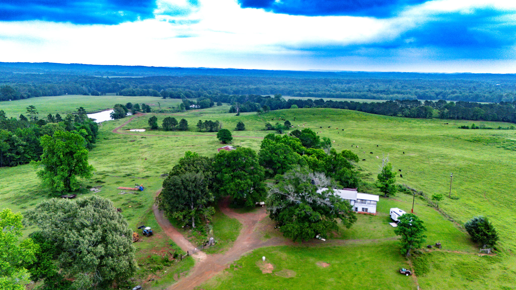  Photo 48