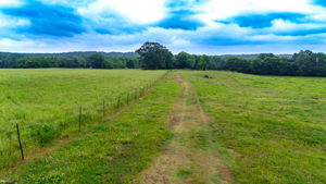  Photo 0