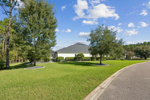 Side Yard