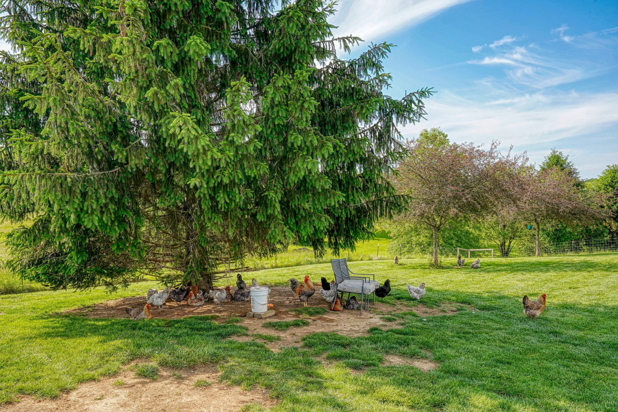 1899 Lamb Rd (21)