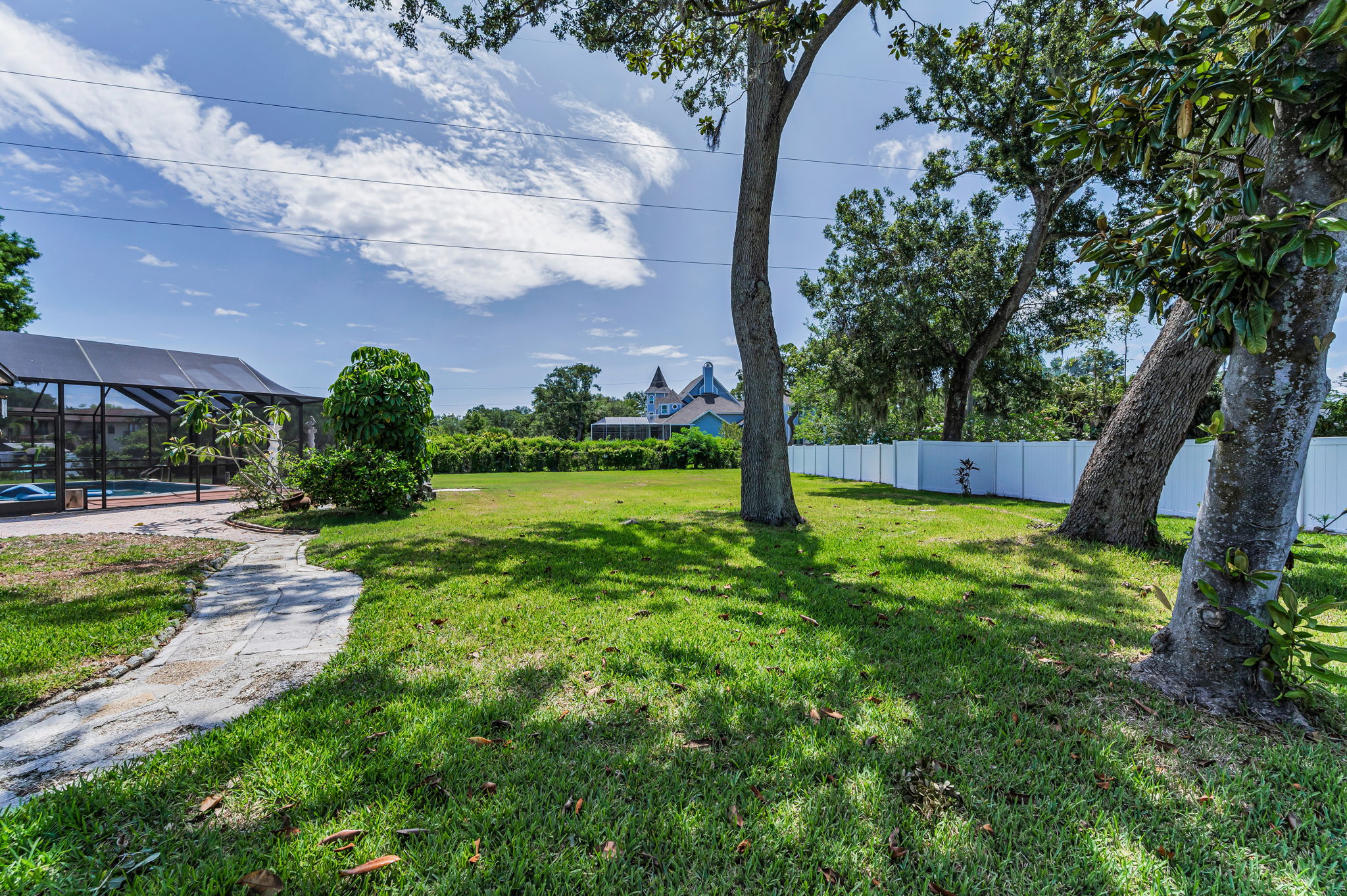 Backyard2