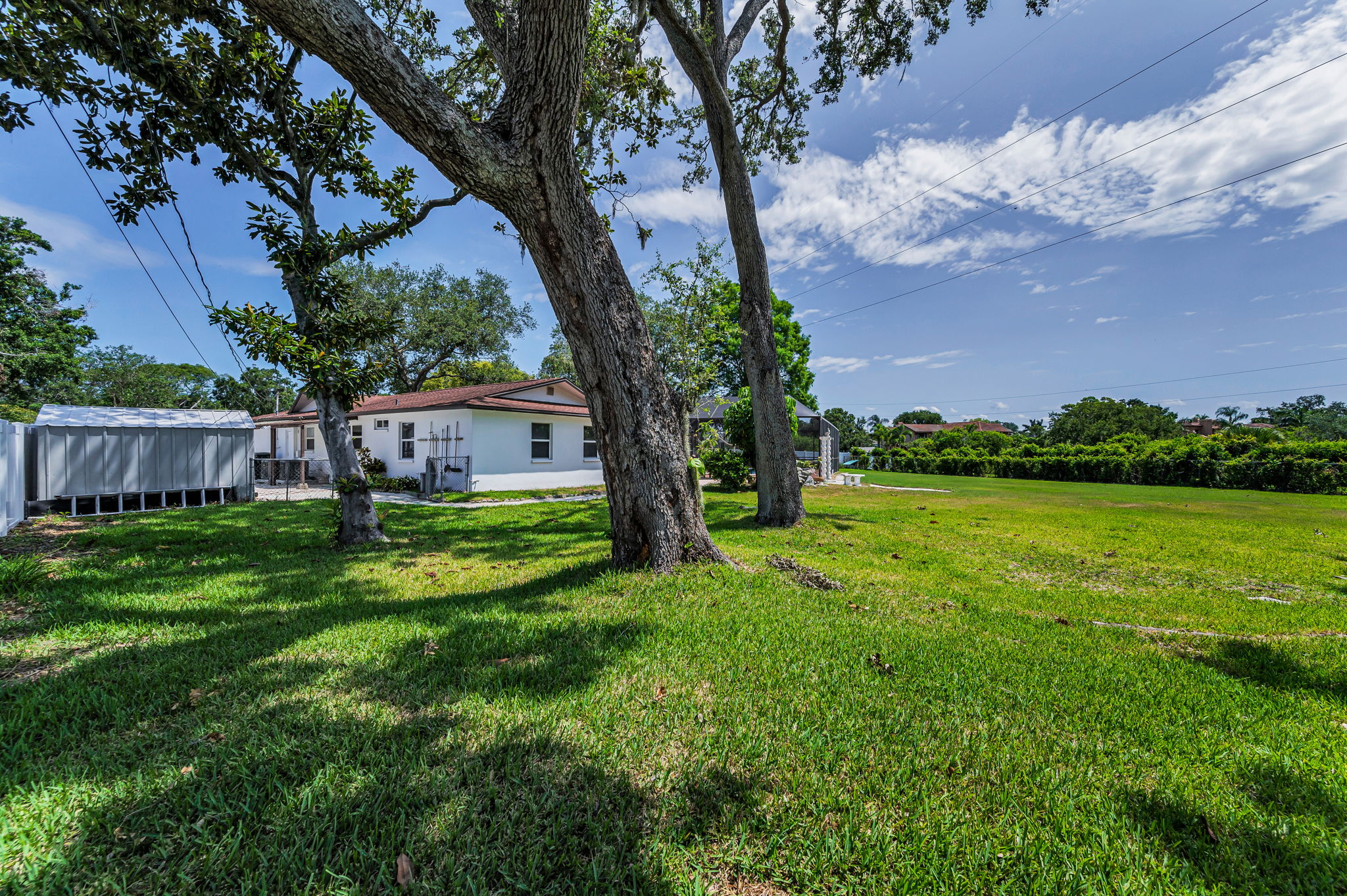 Backyard3