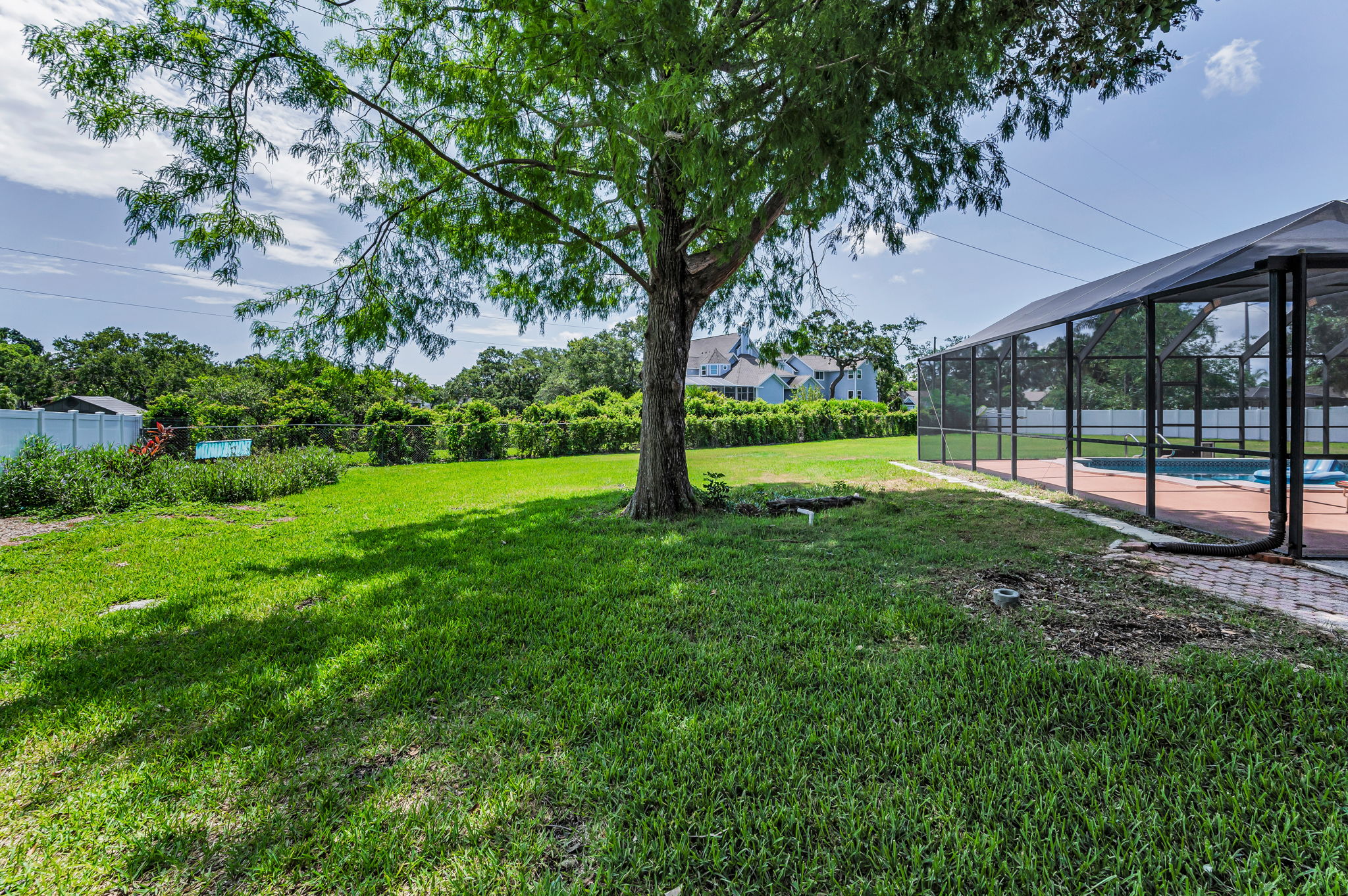 Backyard10