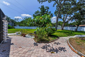 Backyard1