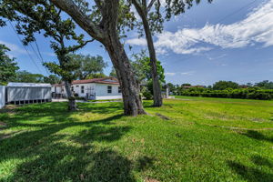 Backyard3