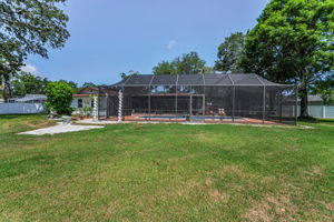 Backyard4