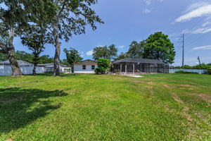 Backyard5