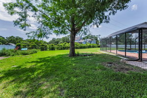 Backyard10
