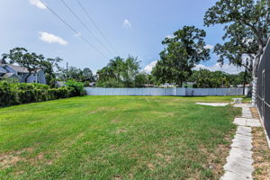 Backyard11