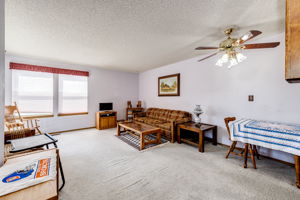 Spacious Living Room