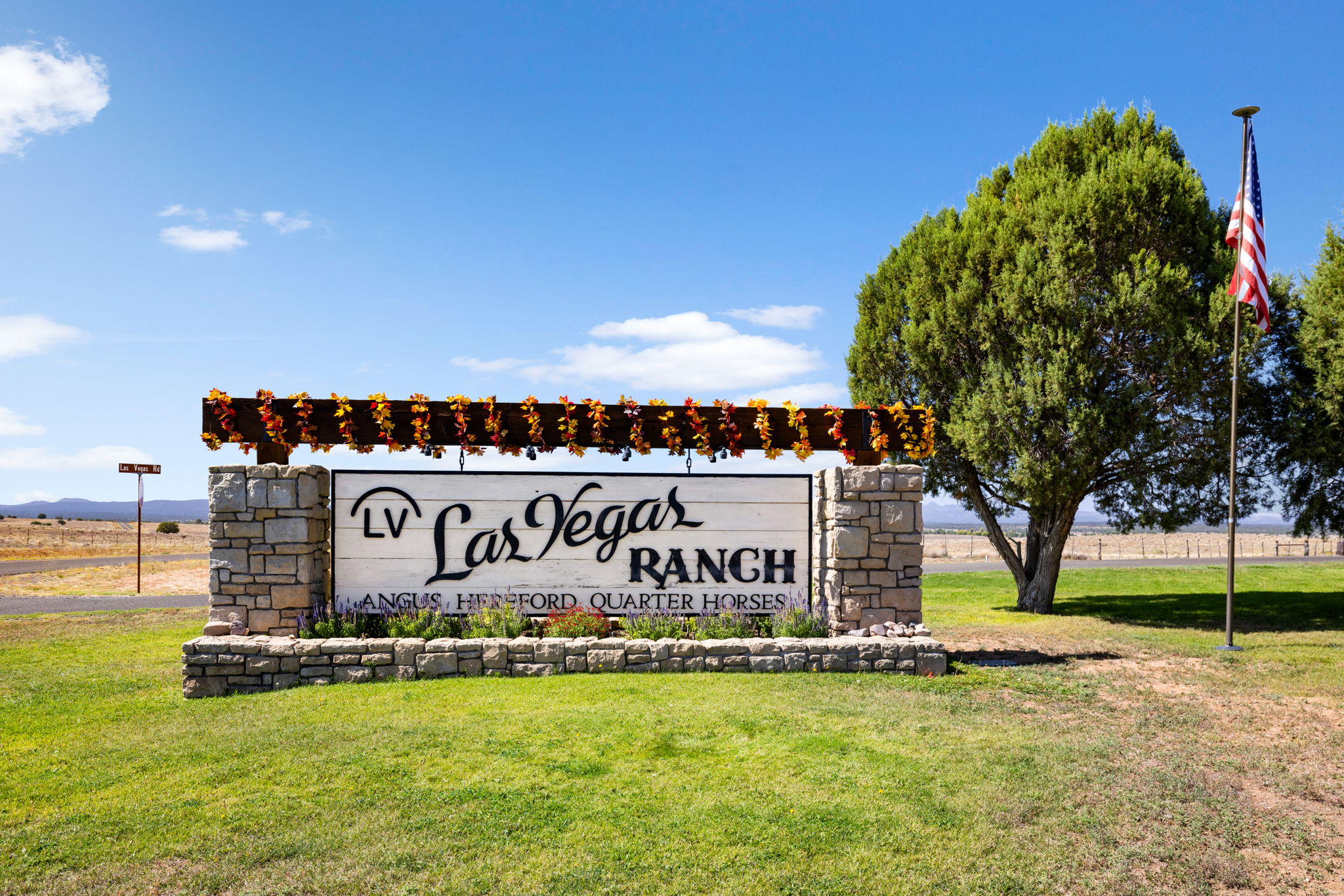 Las Vegas Ranch_2