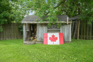  Photo 47