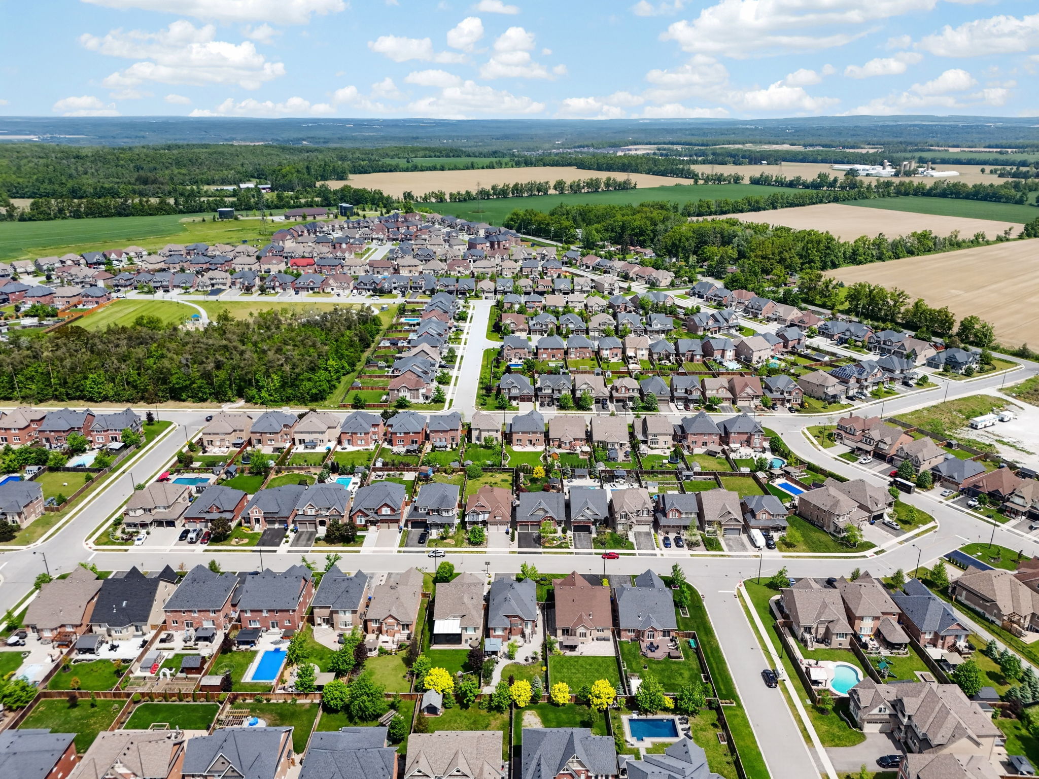  Photo 97