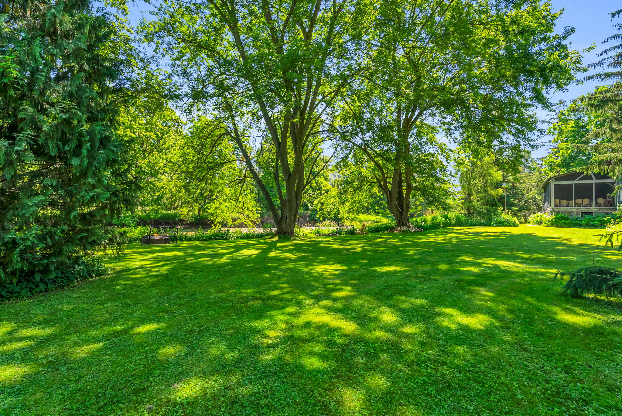 Backyard