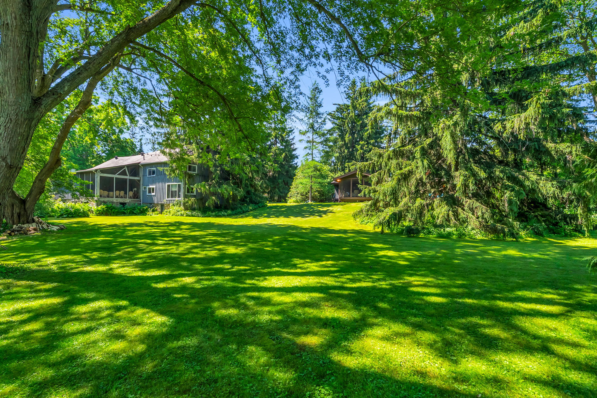 Backyard