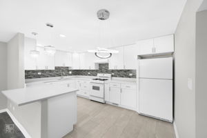 19 Dennis Ct, Schaumburg, IL 60193_0004