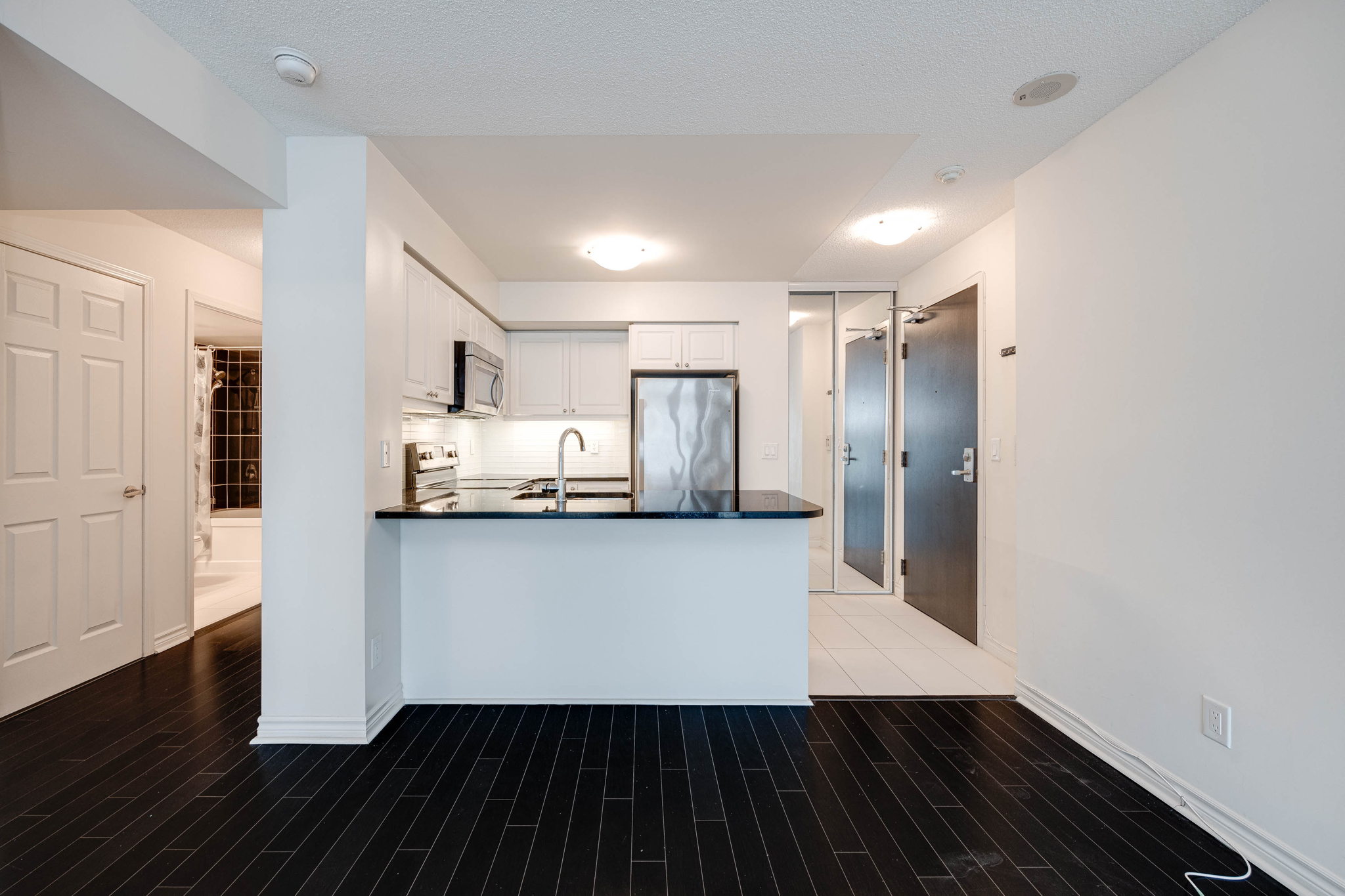 Toronto property showcase — delivered property photograph 10