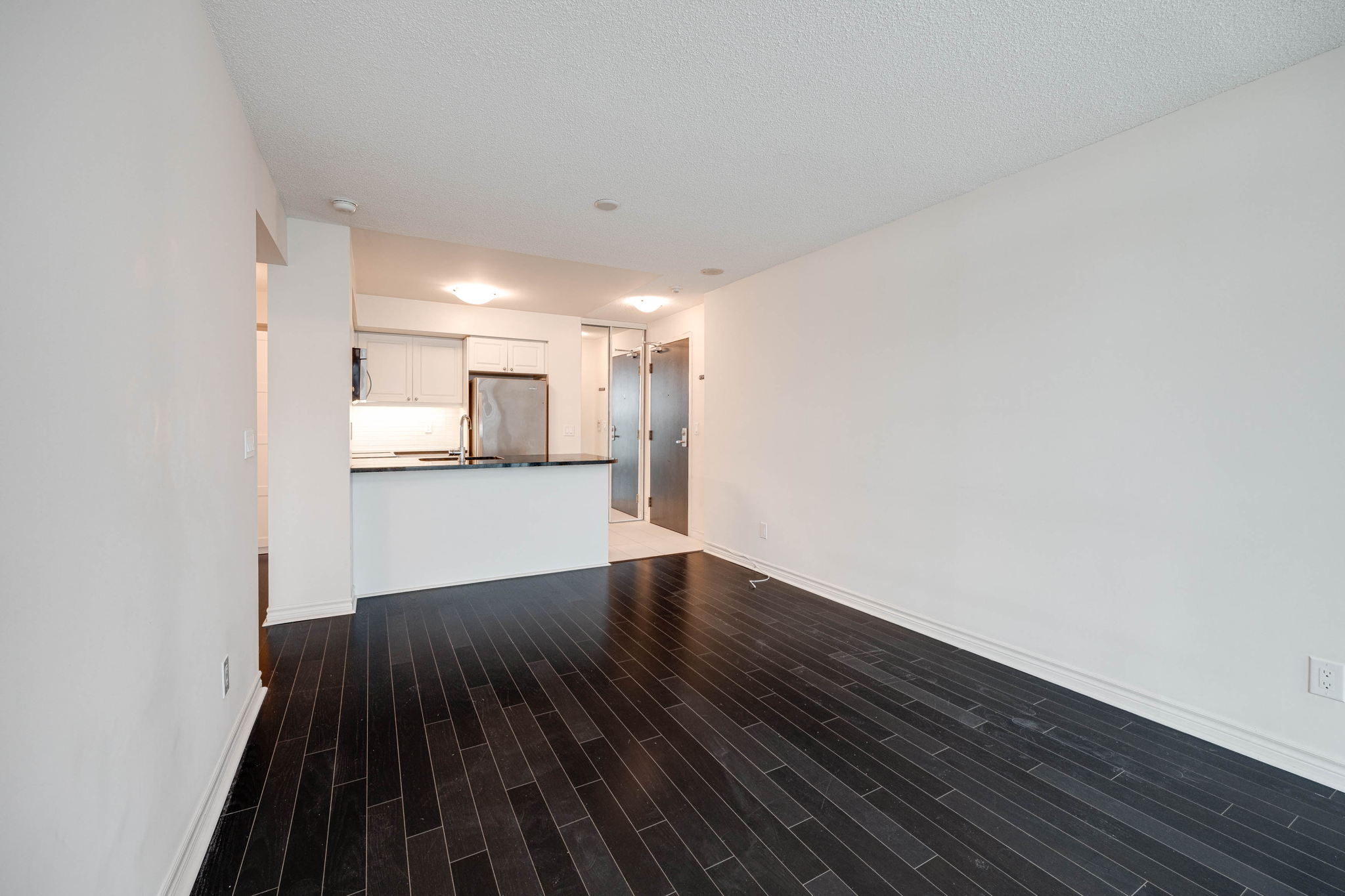 Toronto property showcase — delivered property photograph 14