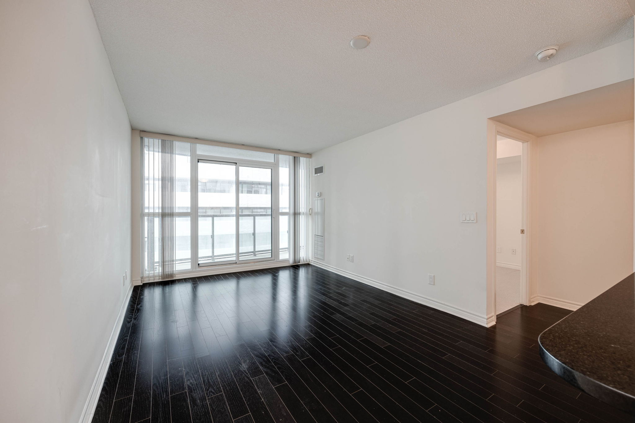 Toronto property showcase — delivered property photograph 8