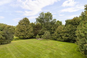  Photo 55