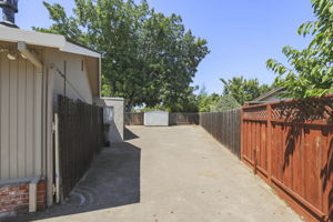  Photo 38