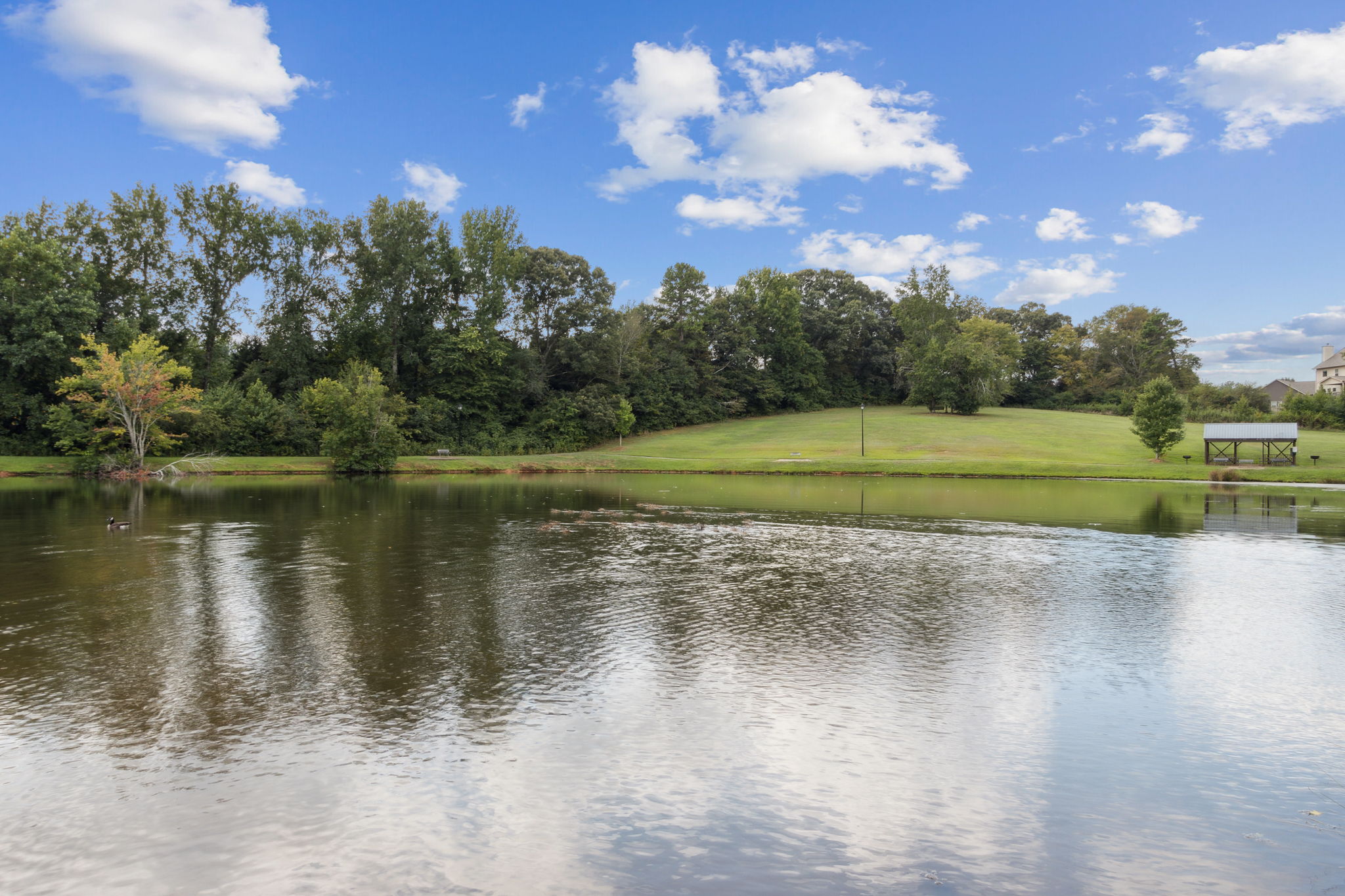 Pond View